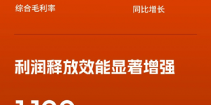 涂鸦智能发布2025年Q1财报：营收与利润双增，携手全球开发者加速AI应用落地