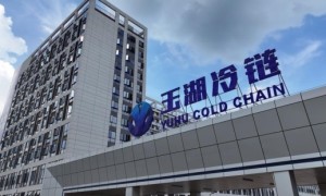 玉湖集团的冷链赛道布局：如何以实业根基回应民生需求